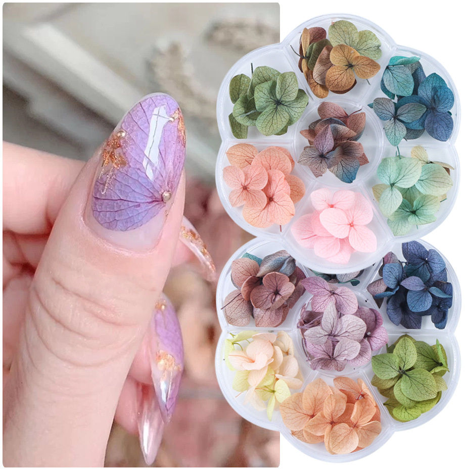Colori Fiori Secchi Per Unghie